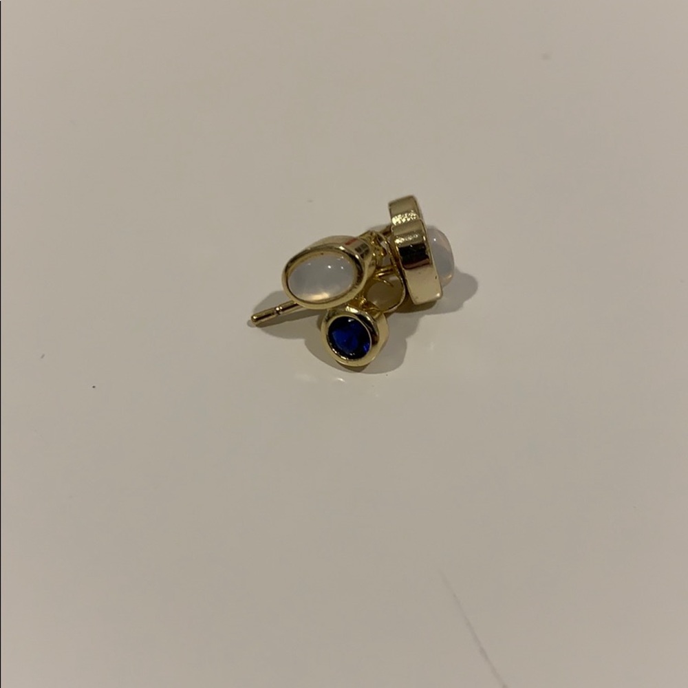 Argento Vivo earrings